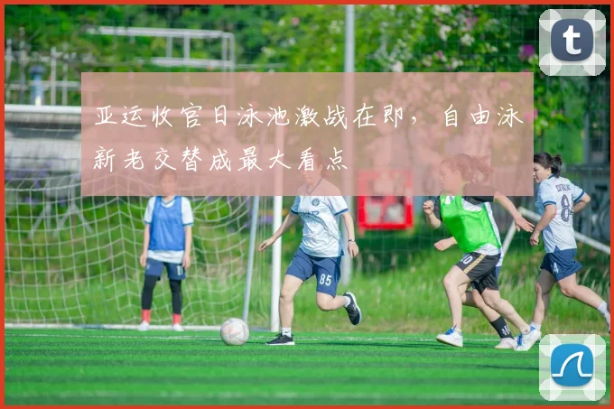 亚运收官日泳池激战在即，自由泳新老交替成最大看点