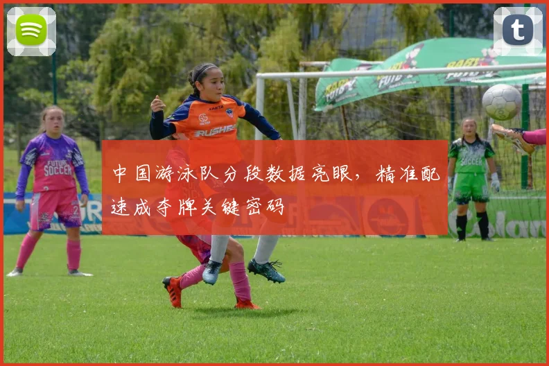 中国游泳队分段数据亮眼，精准配速成夺牌关键密码